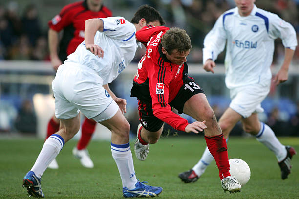 他们用装饰 他们用装饰